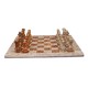 Chess 12 Inch Coral and Brown